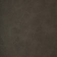 Kravet DESIGN BRINE 21 Upholstery Fabric
