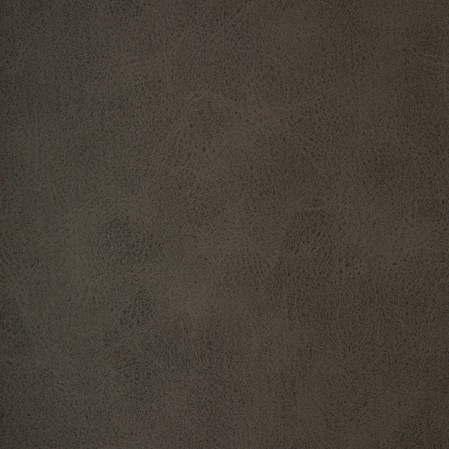 Kravet DESIGN BRINE 21 Upholstery Fabric