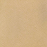 Kravet DESIGN CONNECT 16 Upholstery Fabric