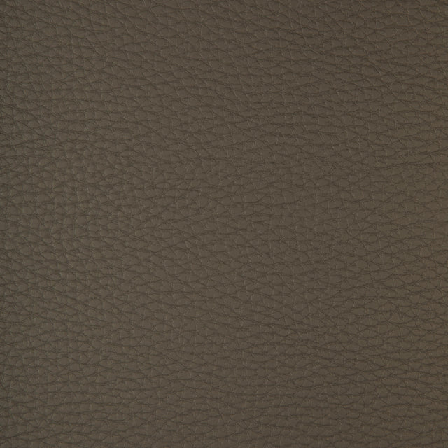Kravet DESIGN CONNECT 21 Upholstery Fabric