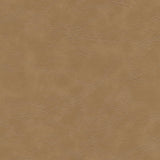 Kravet DESIGN EQUINE 106 Upholstery Fabric