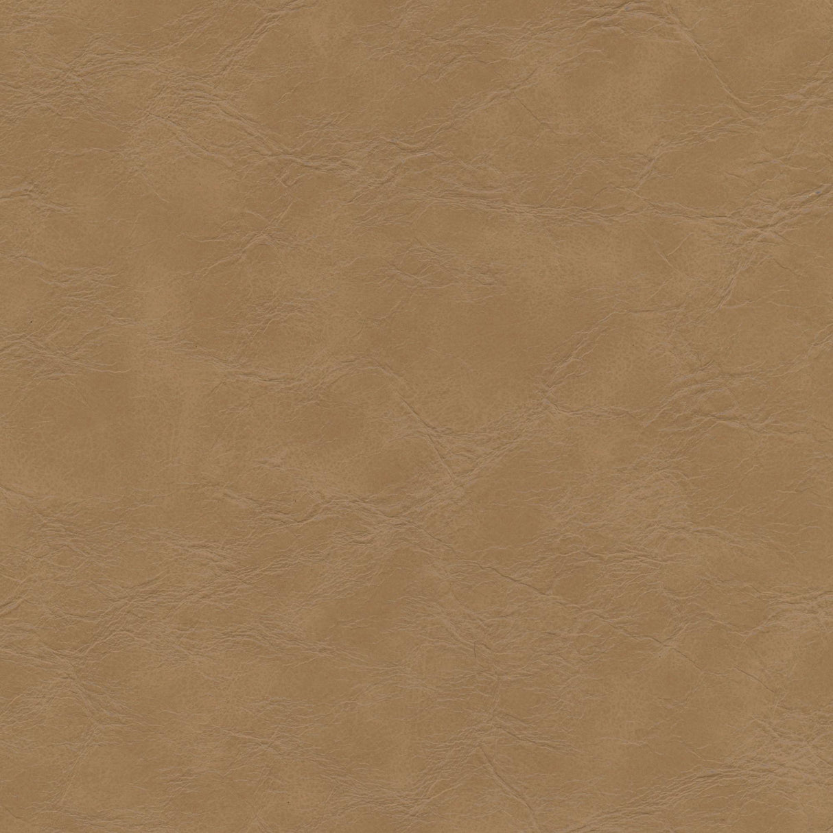 Kravet DESIGN EQUINE 106 Upholstery Fabric