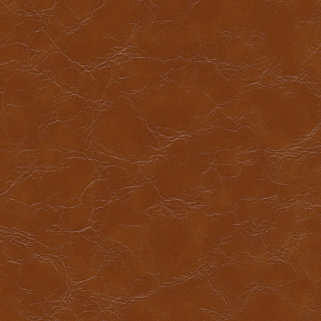 Kravet DESIGN EQUINE 6 Upholstery Fabric