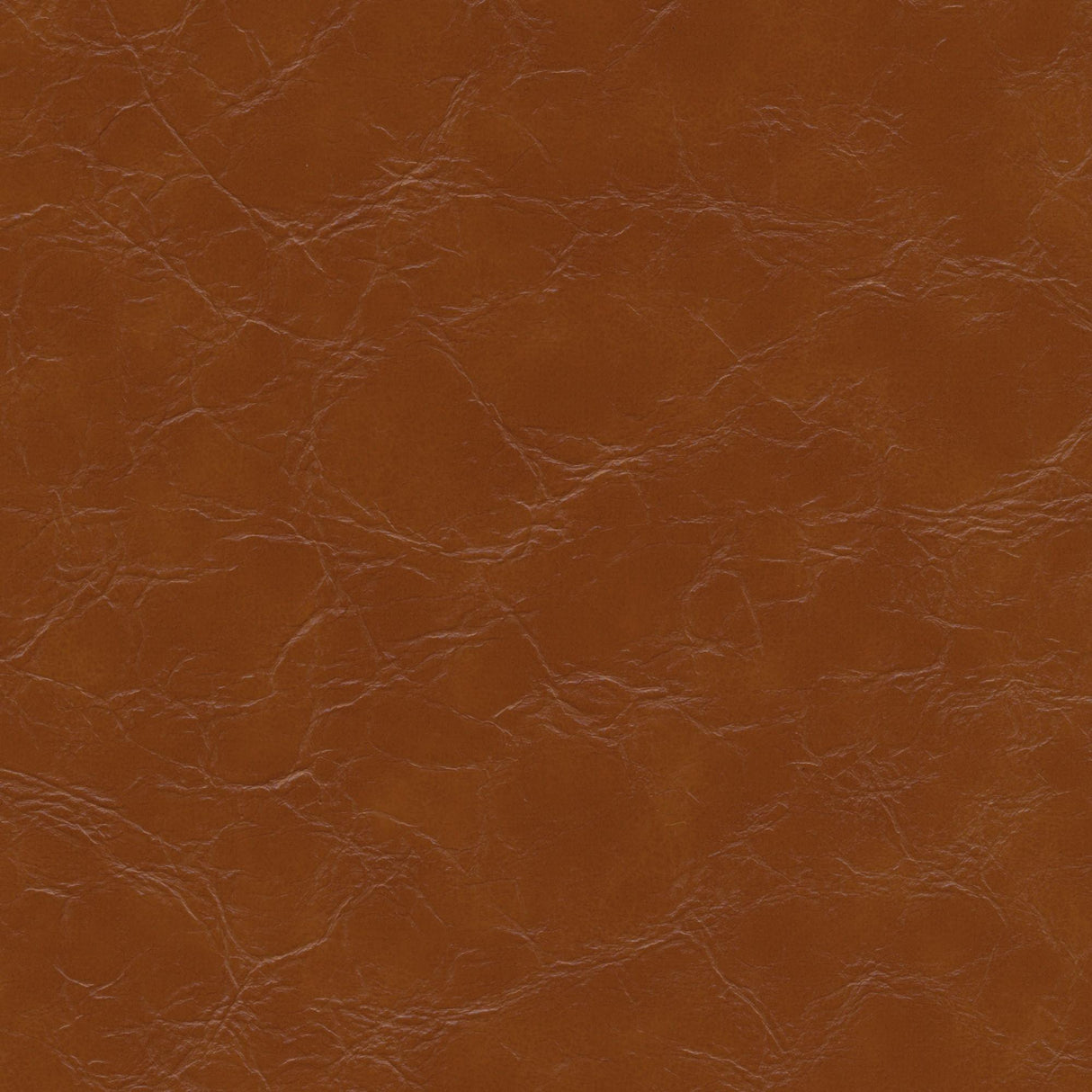 Kravet DESIGN EQUINE 6 Upholstery Fabric