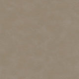 Kravet DESIGN EQUINE 11 Upholstery Fabric