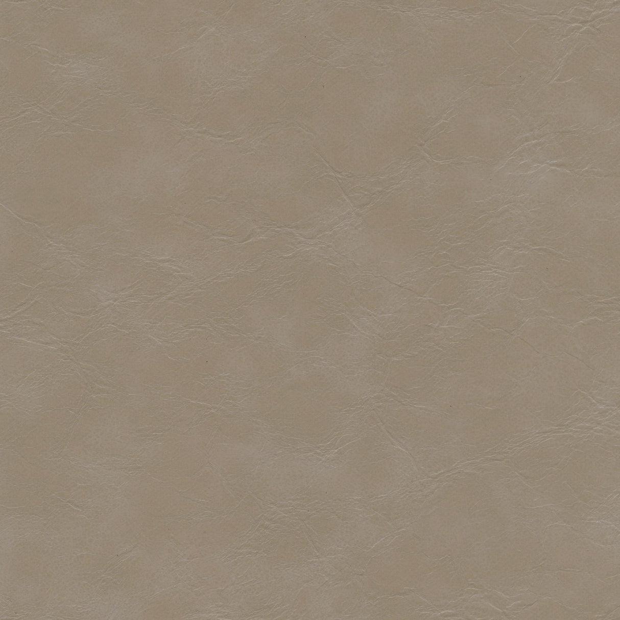 Kravet DESIGN EQUINE 11 Upholstery Fabric