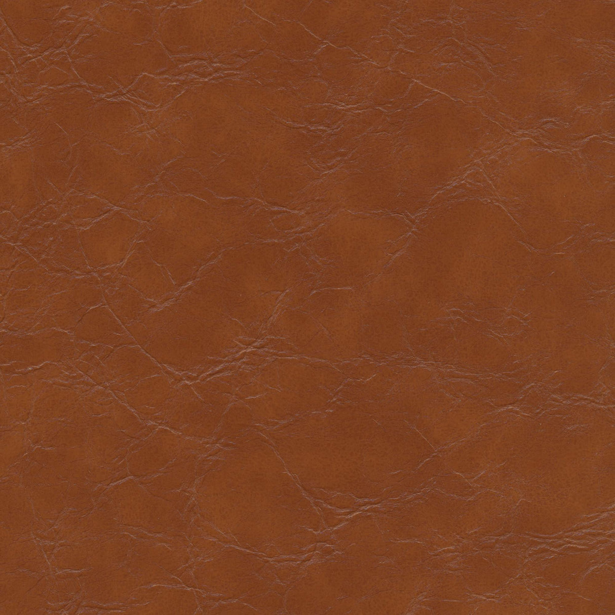 Kravet DESIGN EQUINE 606 Upholstery Fabric