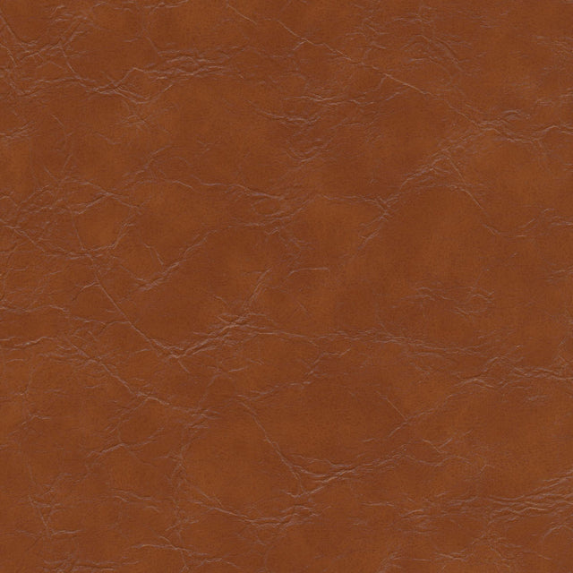 Kravet DESIGN EQUINE 606 Upholstery Fabric