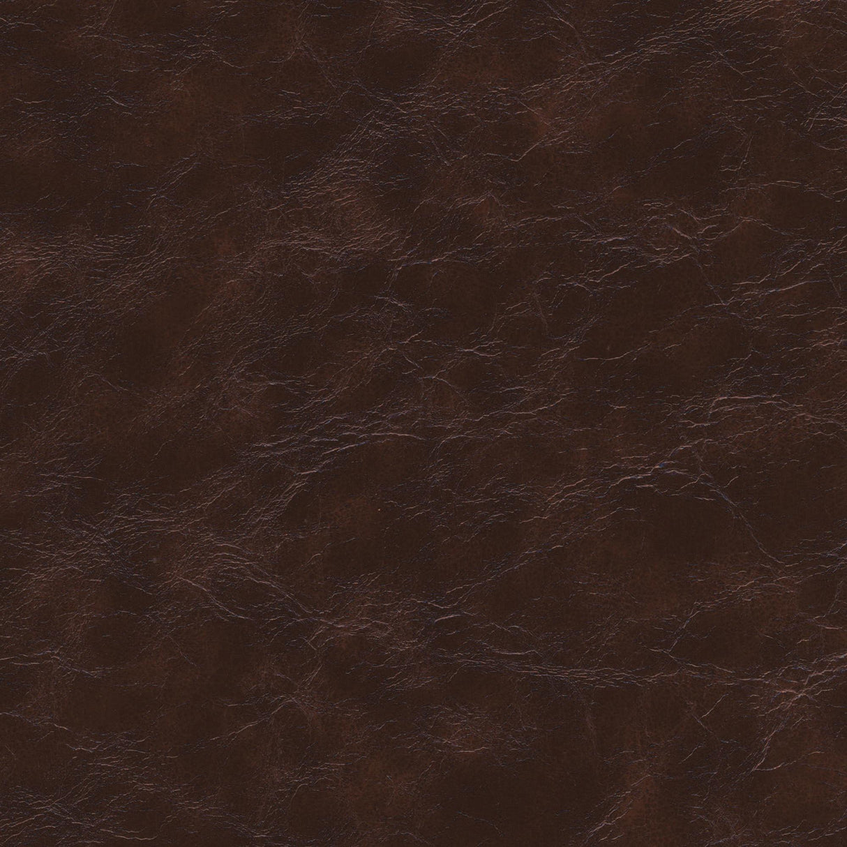 Kravet DESIGN EQUINE 66 Upholstery Fabric