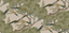 Mulberry GRAND FLYING DUCKS EMERALD Wallpaper