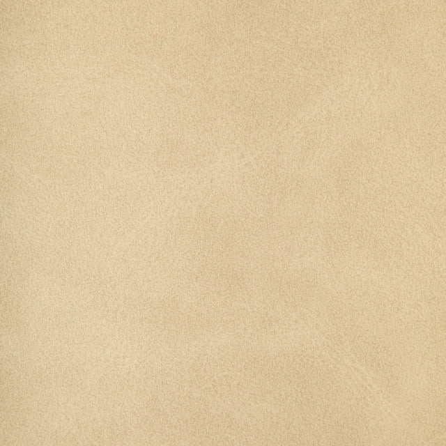 Kravet DESIGN GIVER 1101 Upholstery Fabric