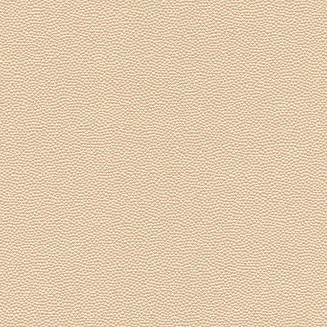 Kravet DESIGN HAMMER 1 Upholstery Fabric