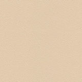 Kravet DESIGN HAMMER 1 Upholstery Fabric