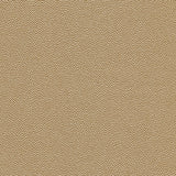Kravet DESIGN HAMMER 11 Upholstery Fabric
