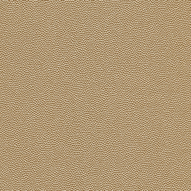 Kravet DESIGN HAMMER 11 Upholstery Fabric