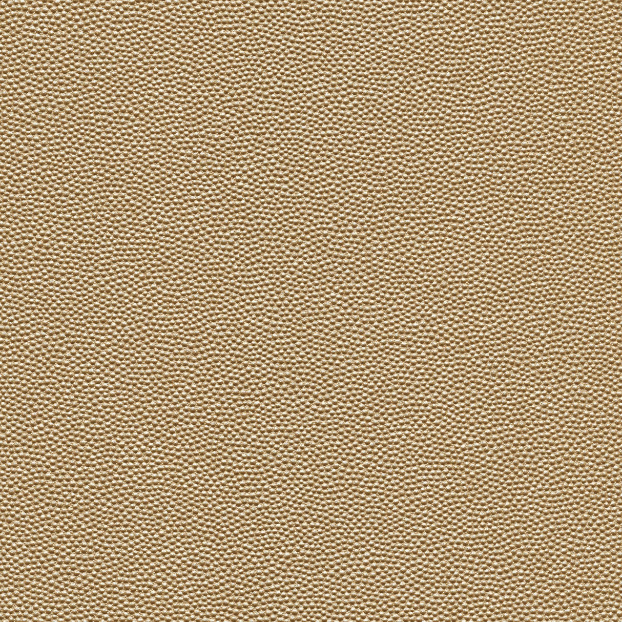 Kravet DESIGN HAMMER 11 Upholstery Fabric