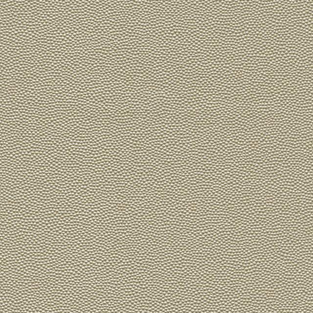 Kravet DESIGN HAMMER 1101 Upholstery Fabric