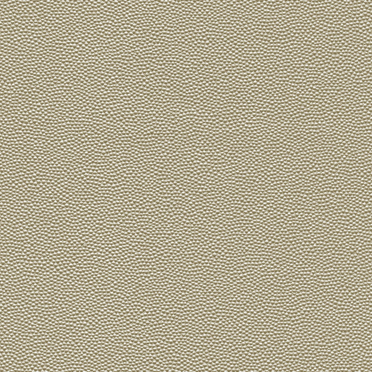 Kravet DESIGN HAMMER 1101 Upholstery Fabric