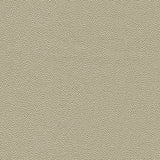 Kravet DESIGN HAMMER 1101 Upholstery Fabric