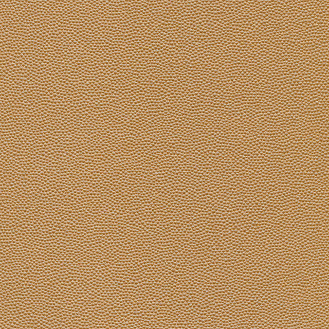 Kravet DESIGN HAMMER 16 Upholstery Fabric