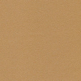 Kravet DESIGN HAMMER 16 Upholstery Fabric