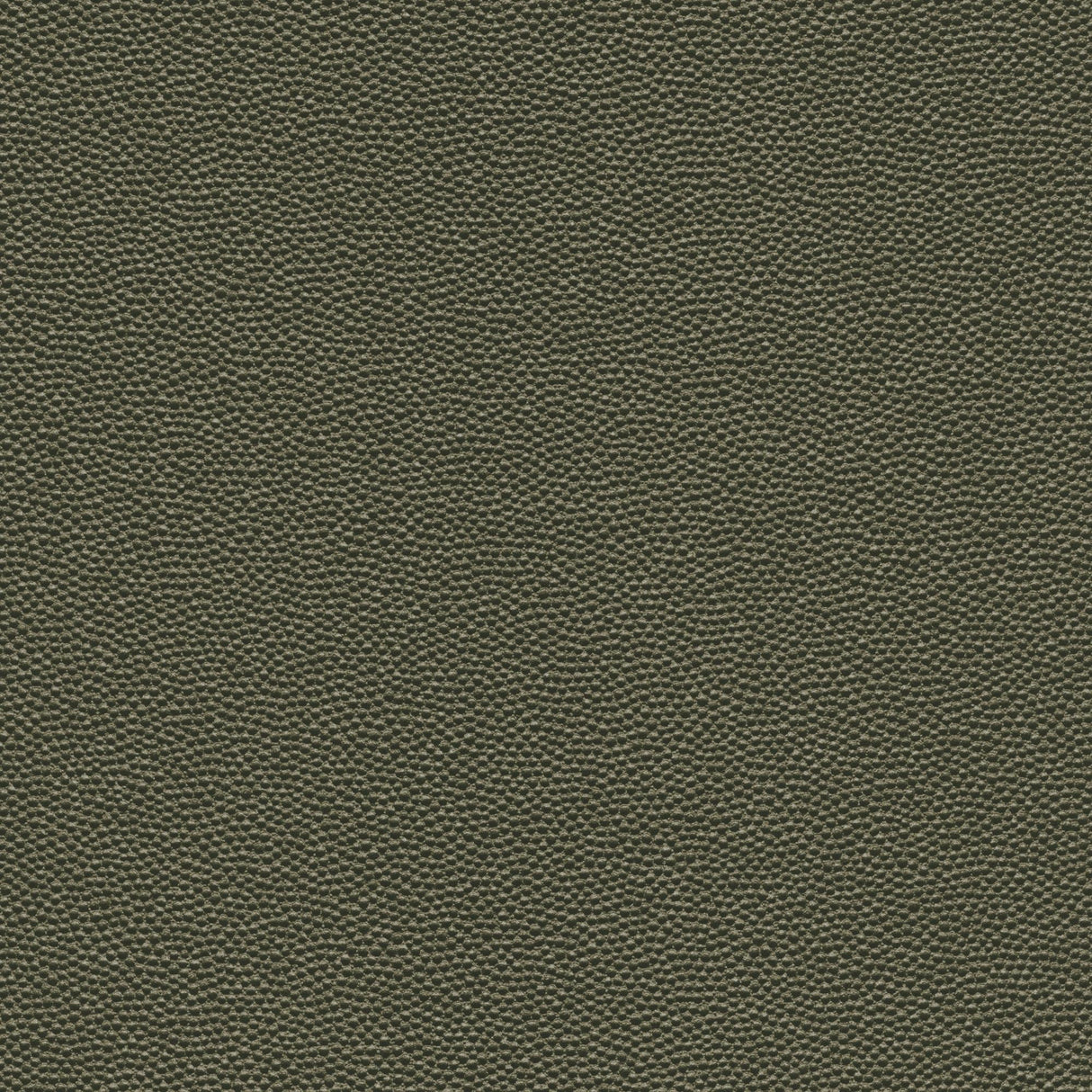Kravet DESIGN HAMMER 3 Upholstery Fabric