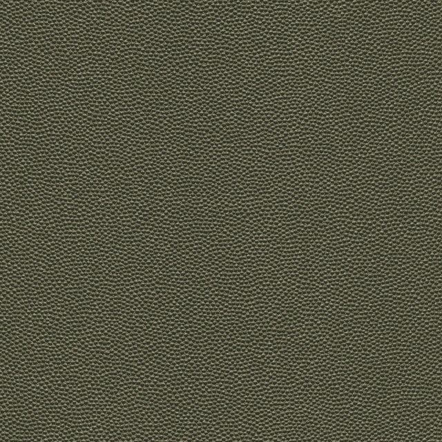 Kravet DESIGN HAMMER 3 Upholstery Fabric