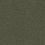 Kravet DESIGN HAMMER 3 Upholstery Fabric