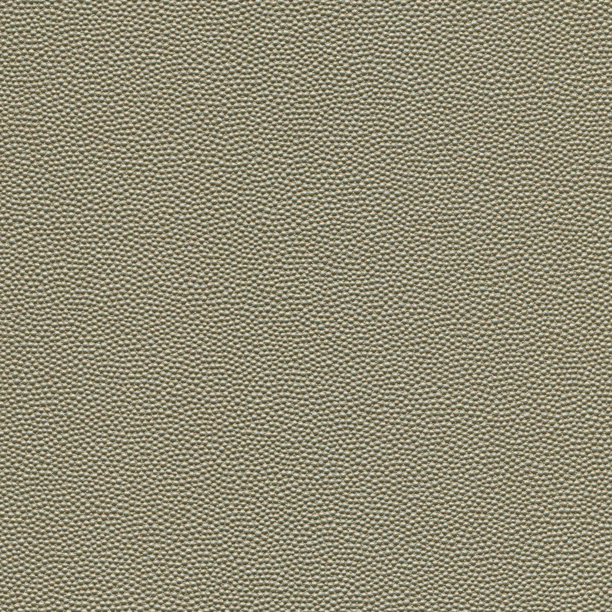 Kravet DESIGN HAMMER 52 Upholstery Fabric