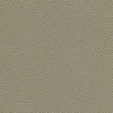 Kravet DESIGN HAMMER 52 Upholstery Fabric