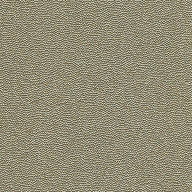 Kravet DESIGN HAMMER 52 Upholstery Fabric
