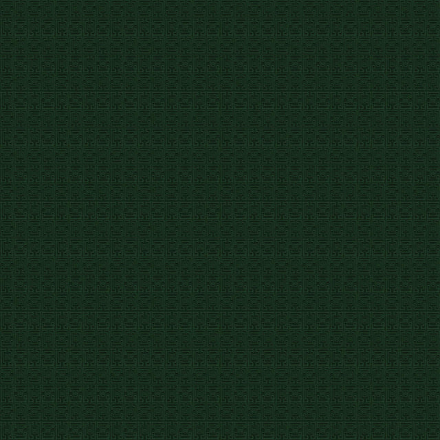 Gaston Y Daniela CONDE DE ARANDA VERDE Upholstery Fabric