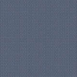 Gaston Y Daniela SOBRESALIENTE NAVY Upholstery Fabric