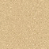 Kravet DESIGN MINDY 1611 Upholstery Fabric