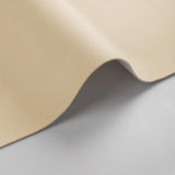 Kravet DESIGN MOJARI 1101 Upholstery Fabric