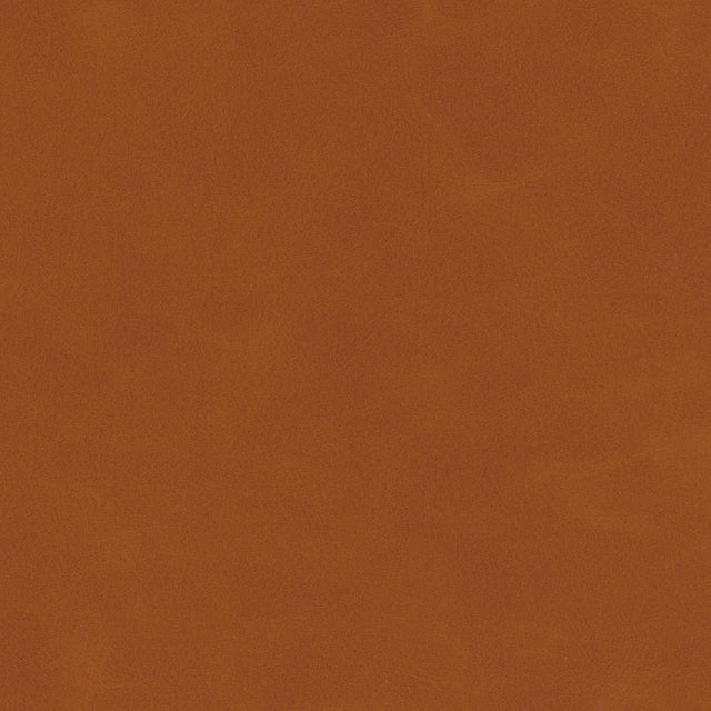 Kravet DESIGN MOJARI 6 Upholstery Fabric