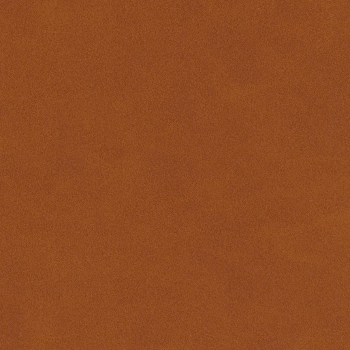 Kravet DESIGN MOJARI 6 Upholstery Fabric