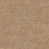 Kravet DESIGN NEBULA 611 Upholstery Fabric