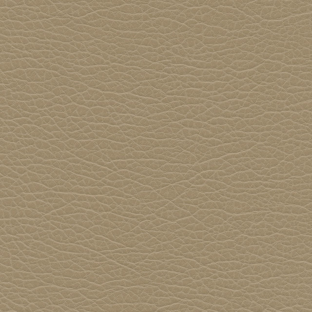 Kravet DESIGN SPLIT 11 Upholstery Fabric