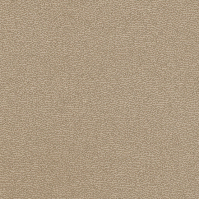 Kravet DESIGN TANNIN 11 Upholstery Fabric