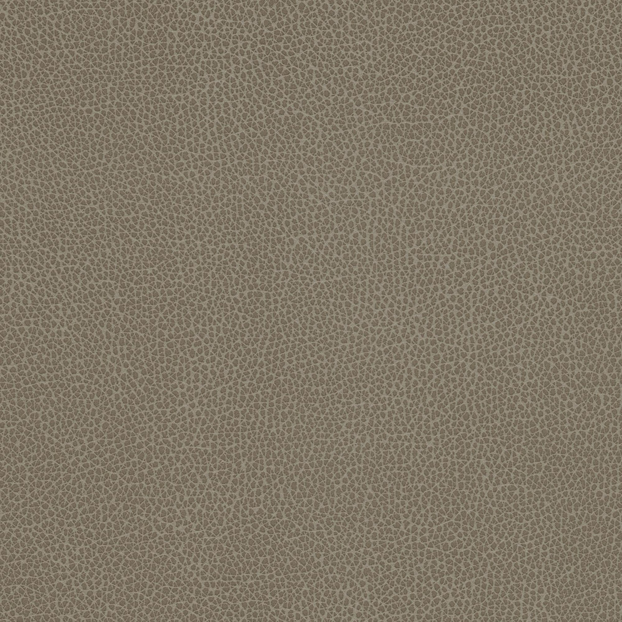 Kravet DESIGN TANNIN 21 Upholstery Fabric