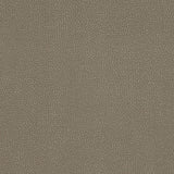 Kravet DESIGN TANNIN 21 Upholstery Fabric