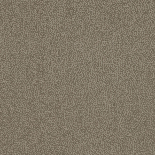 Kravet DESIGN TANNIN 21 Upholstery Fabric
