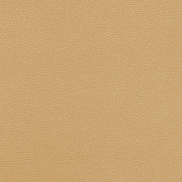 Kravet DESIGN TANNIN 16 Upholstery Fabric
