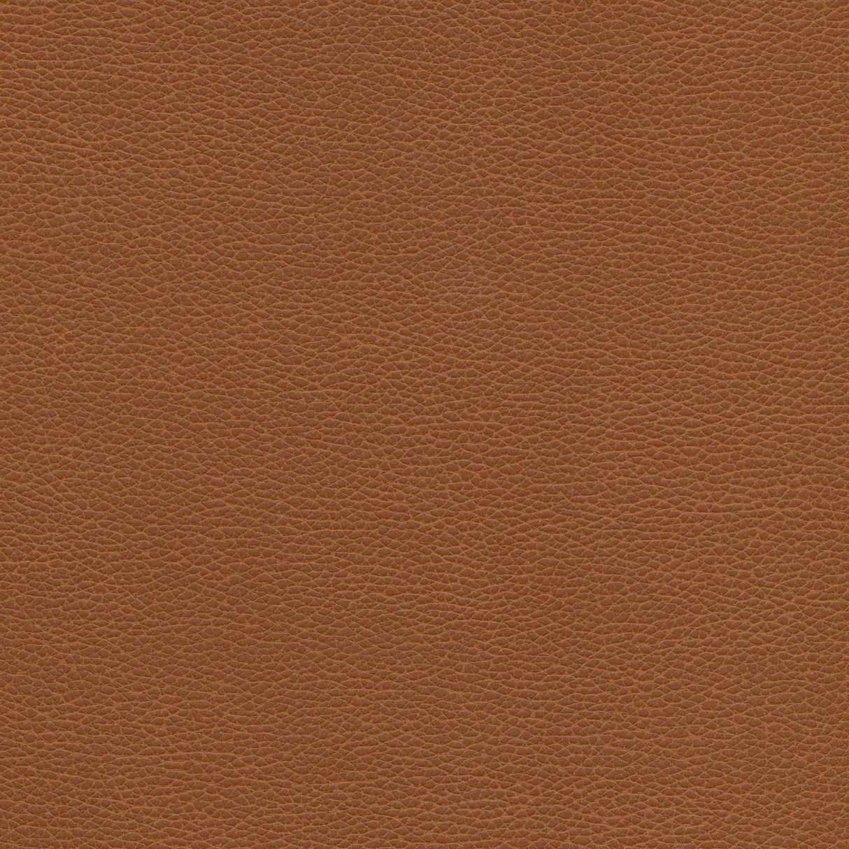 Kravet DESIGN TANNIN 6 Upholstery Fabric