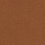 Kravet DESIGN TANNIN 6 Upholstery Fabric
