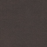 Kravet DESIGN TANNIN 8 Upholstery Fabric