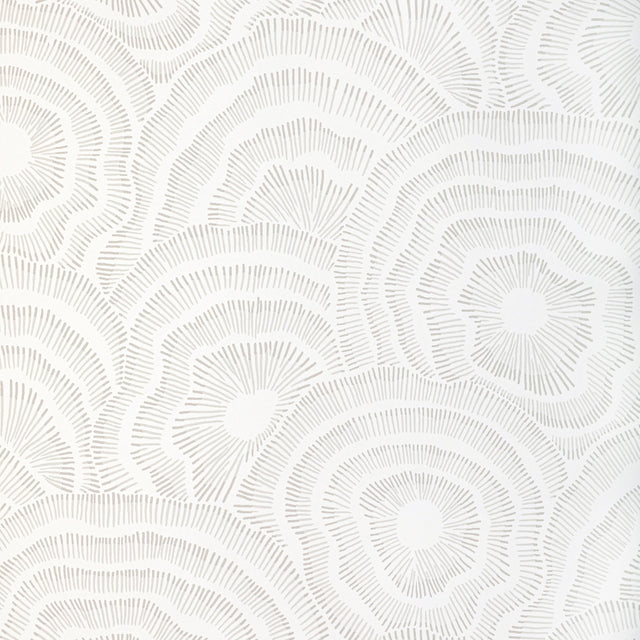 Kravet PANACHE WP SAND Wallpaper