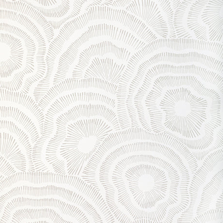 Kravet PANACHE WP SAND Wallpaper