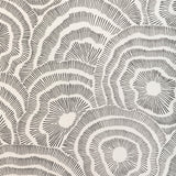 Kravet PANACHE WP NOIR Wallpaper